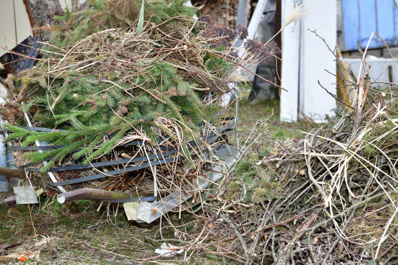 brush pick up and removal