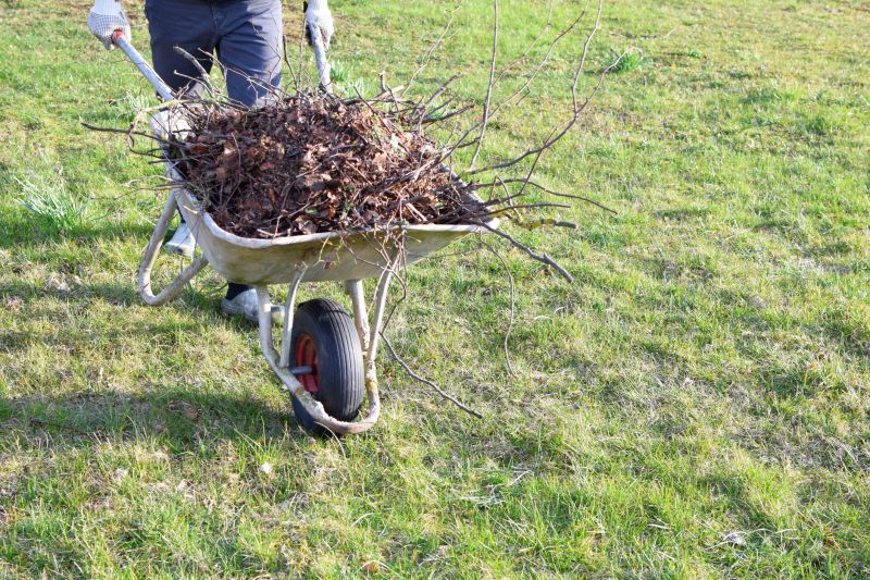 brush pick up and removal