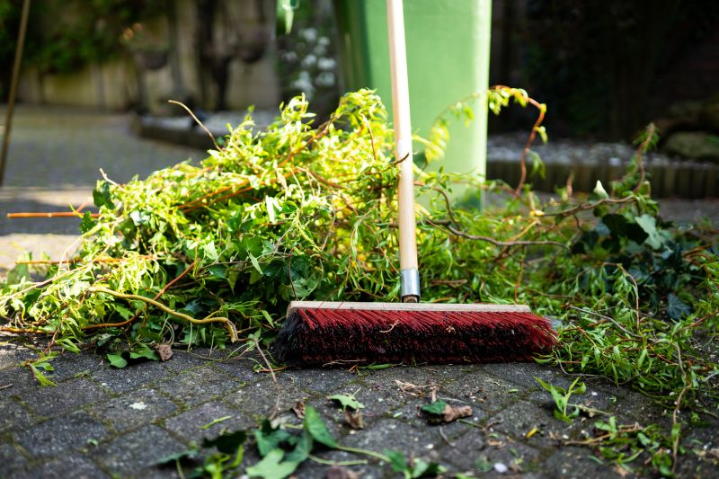 brush pick up and removal