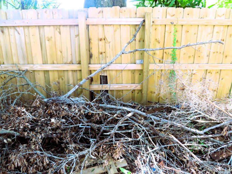 Brush Pick Up And Removal