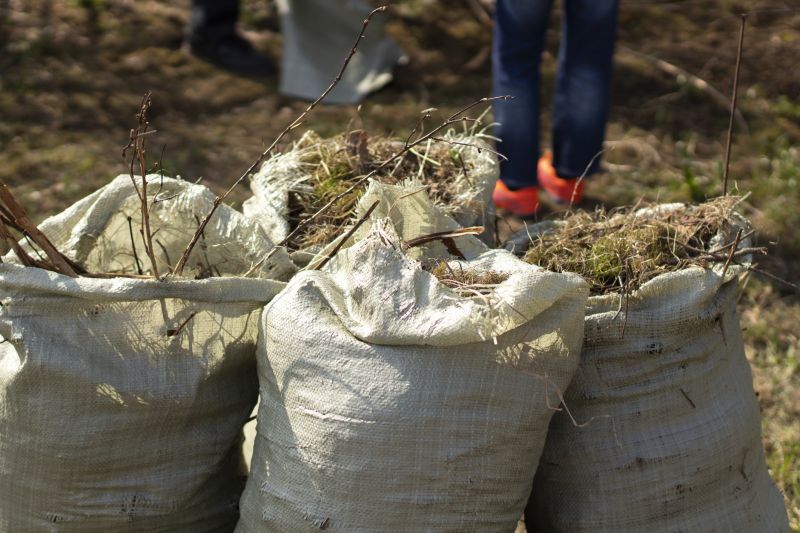 Brush Pick Up And Removal