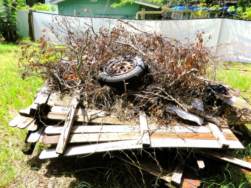 Brush Pick Up And Removal