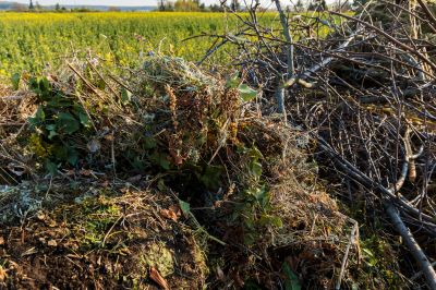 Common Pitfall to Avoid